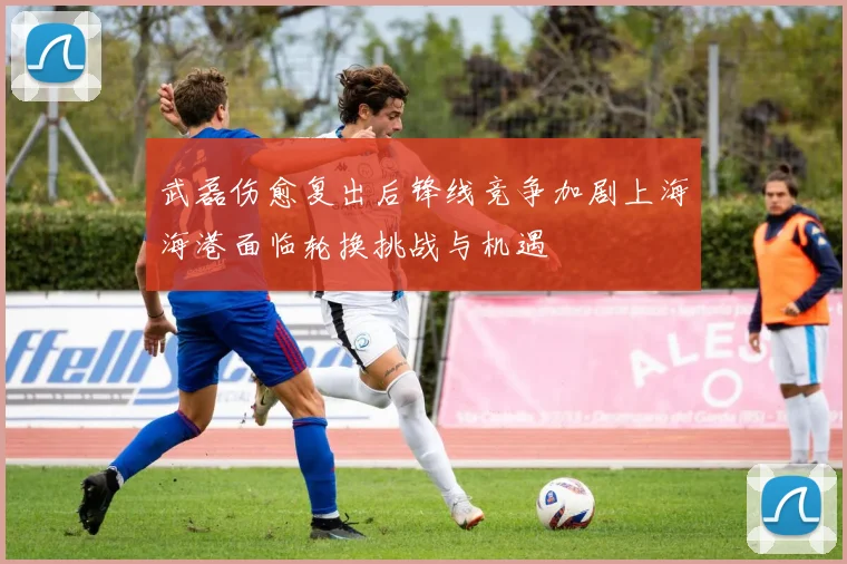 武磊伤愈复出后锋线竞争加剧上海海港面临轮换挑战与机遇
