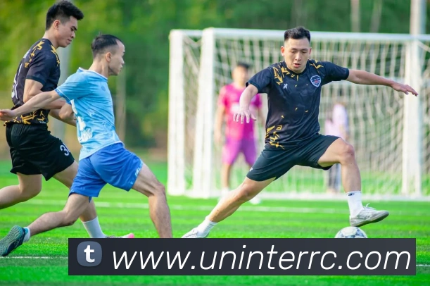 奖项证书